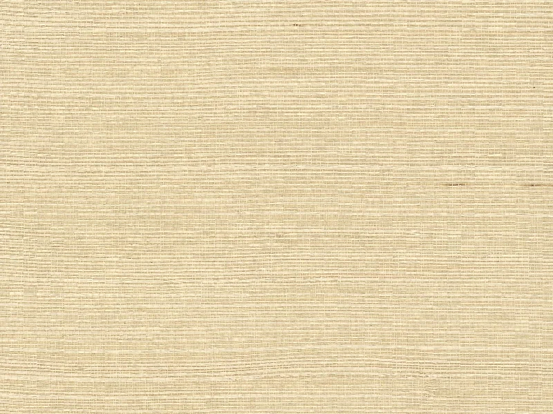 Hamden Grasscloth Wallpaper in Beige