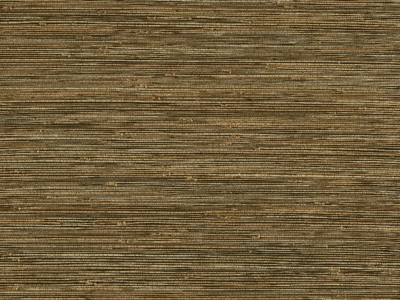 Olivio Grasscloth Wallpaper in Night